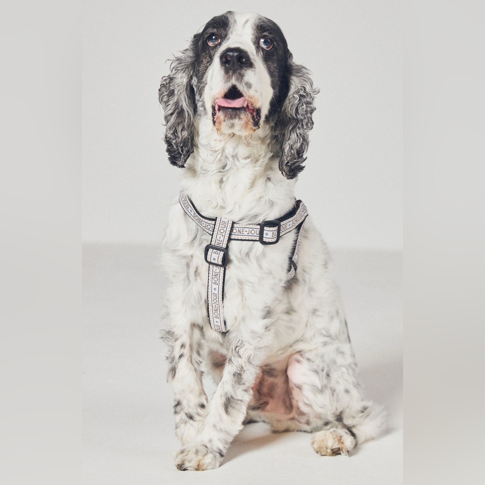 Anthropologie The Bistro Tile Dog Harness, LARGE NWT